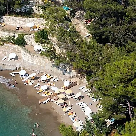 Alara Star Alanya
